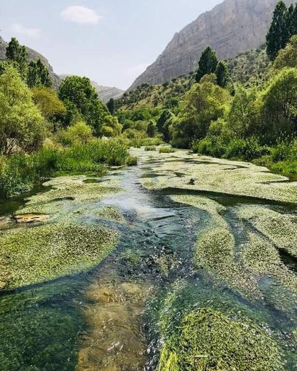 بدون عنوان