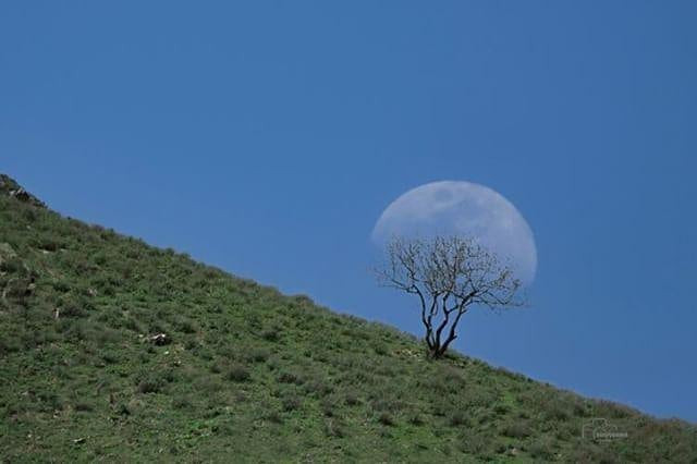 بدون عنوان