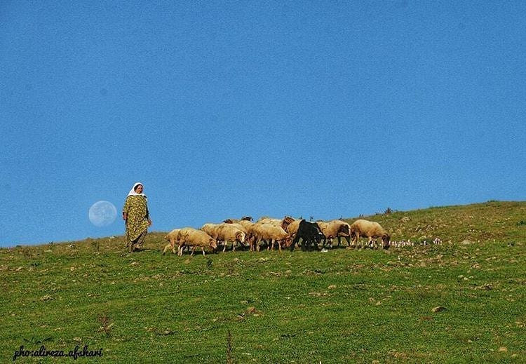 بدون عنوان